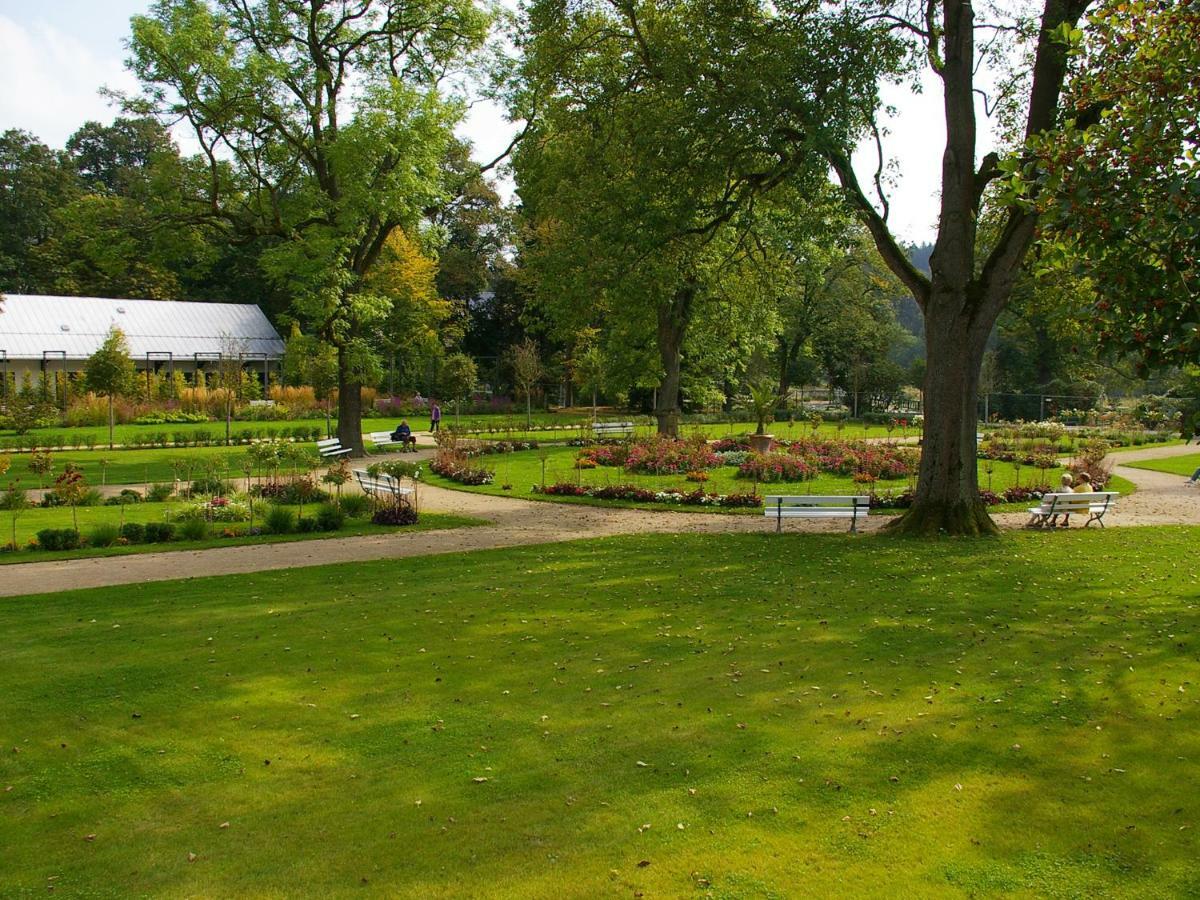 Pension Weisse Rose, Parkplatz, Fruehstueck, Wlan, Zentral Bad Elster Exteriér fotografie
