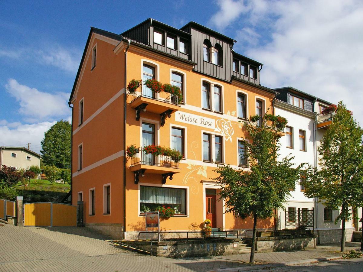 Pension Weisse Rose, Parkplatz, Fruehstueck, Wlan, Zentral Bad Elster Exteriér fotografie